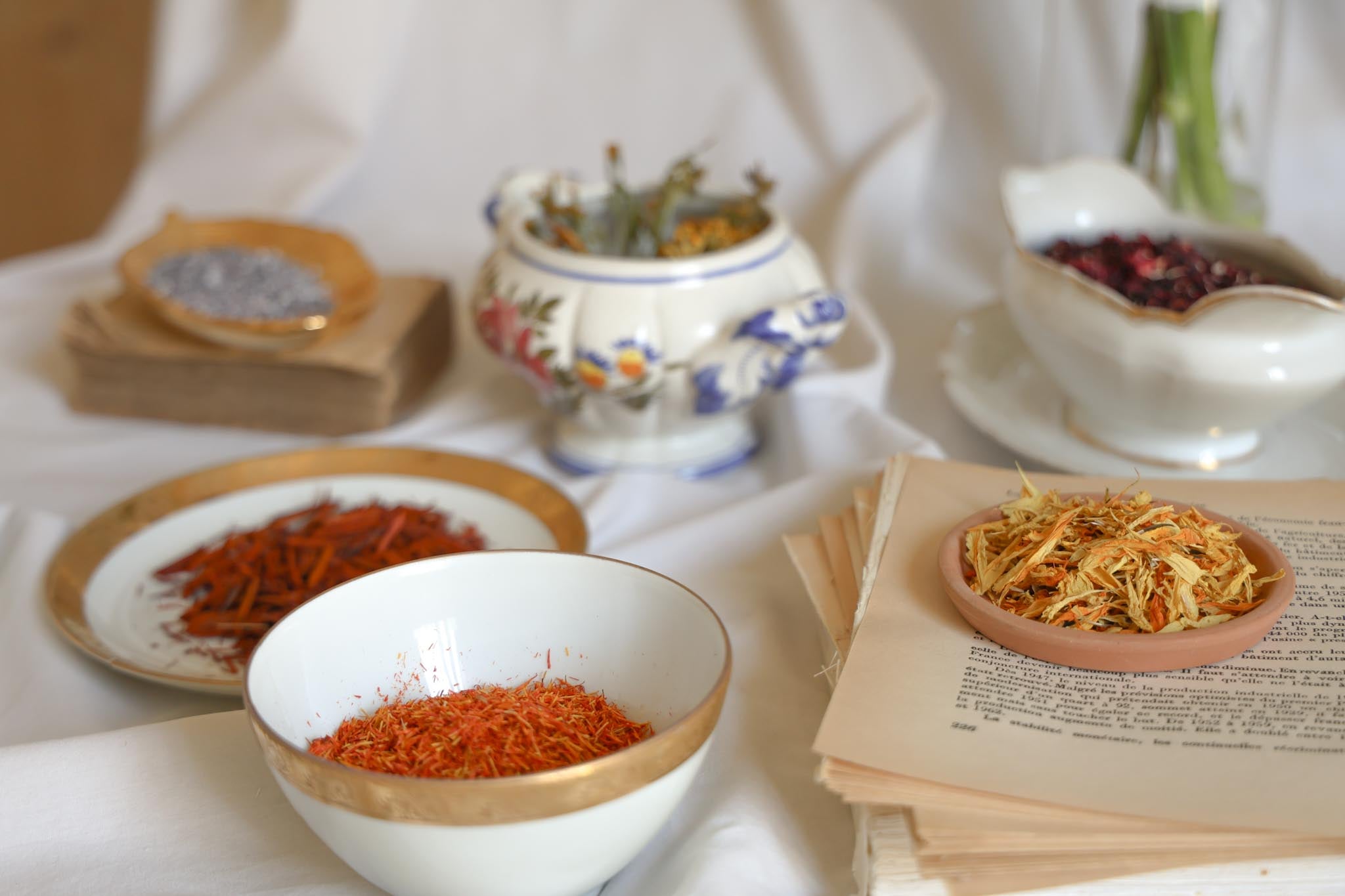 Dried botanical pigments for natural dyeing — safflower, marigold, hibiscus and plant-based dyes displayed in vintage ceramic bowls — Florilegium Paris