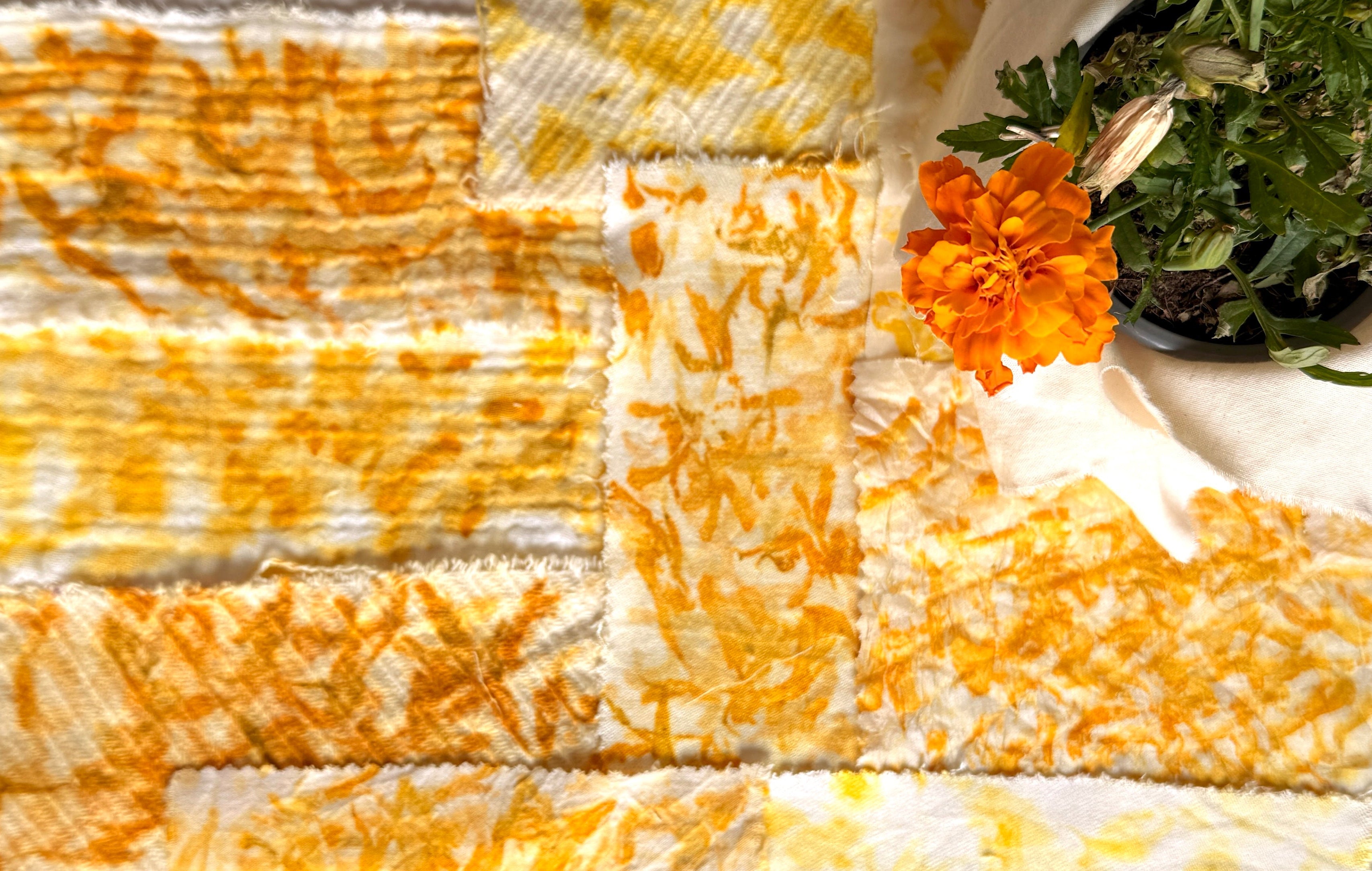 Marigold natural dye on different natural fabrics - how to dye with marigold- how to dye with natural fubers - Florilegium Paris