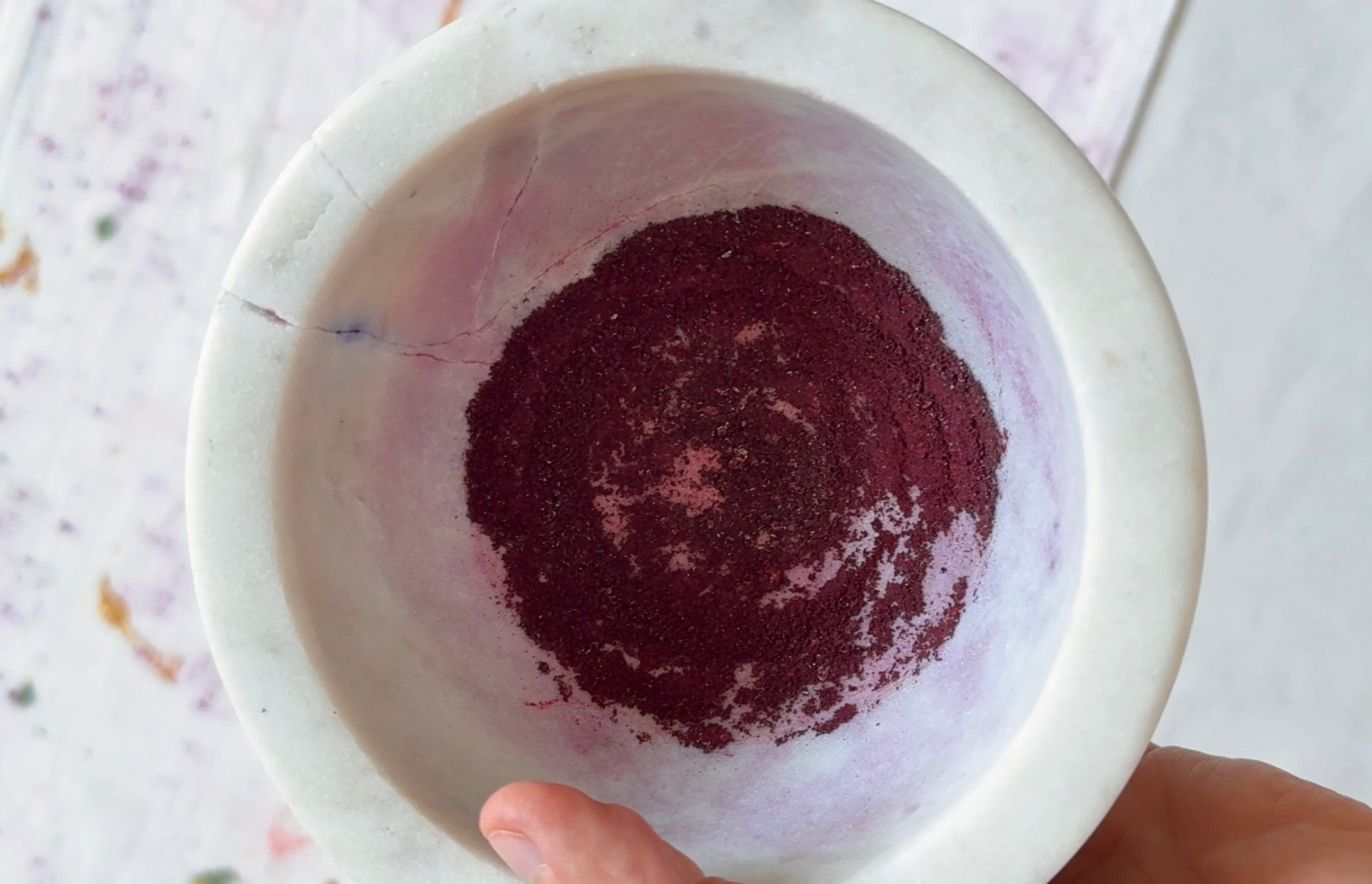Grana cochinilla cochineal natural dye on a bowl. Natural purple and magenta color. Florilegium Paris